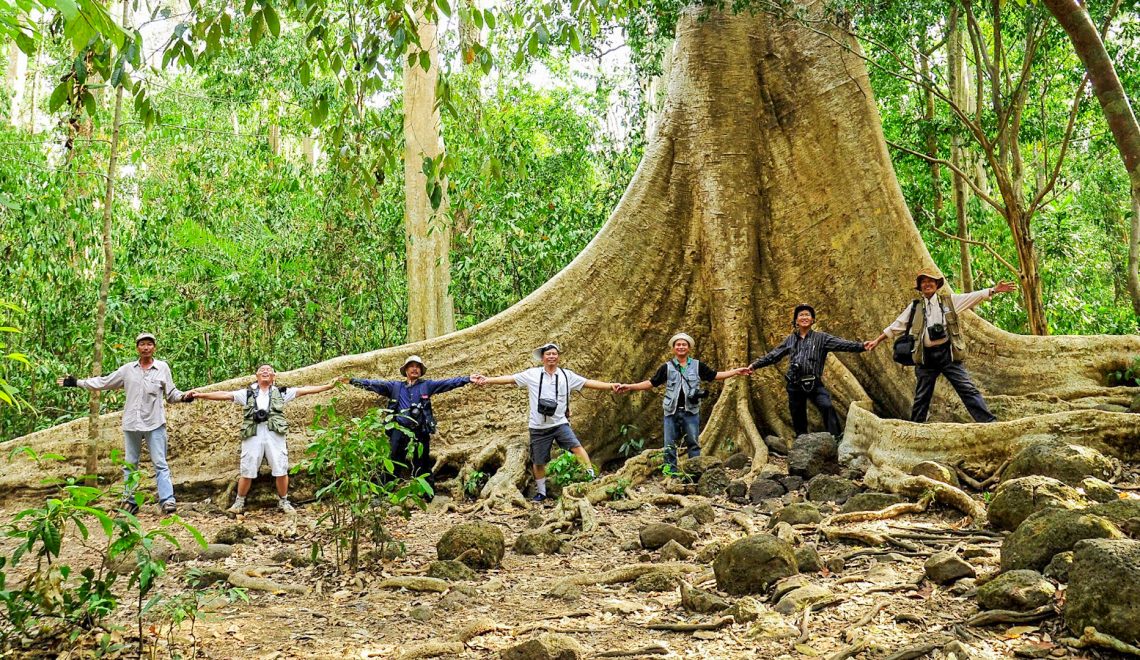 Khám Phá Vẻ Đẹp Hoang Sơ - Hành Trình Trekking Vườn Quốc Gia
