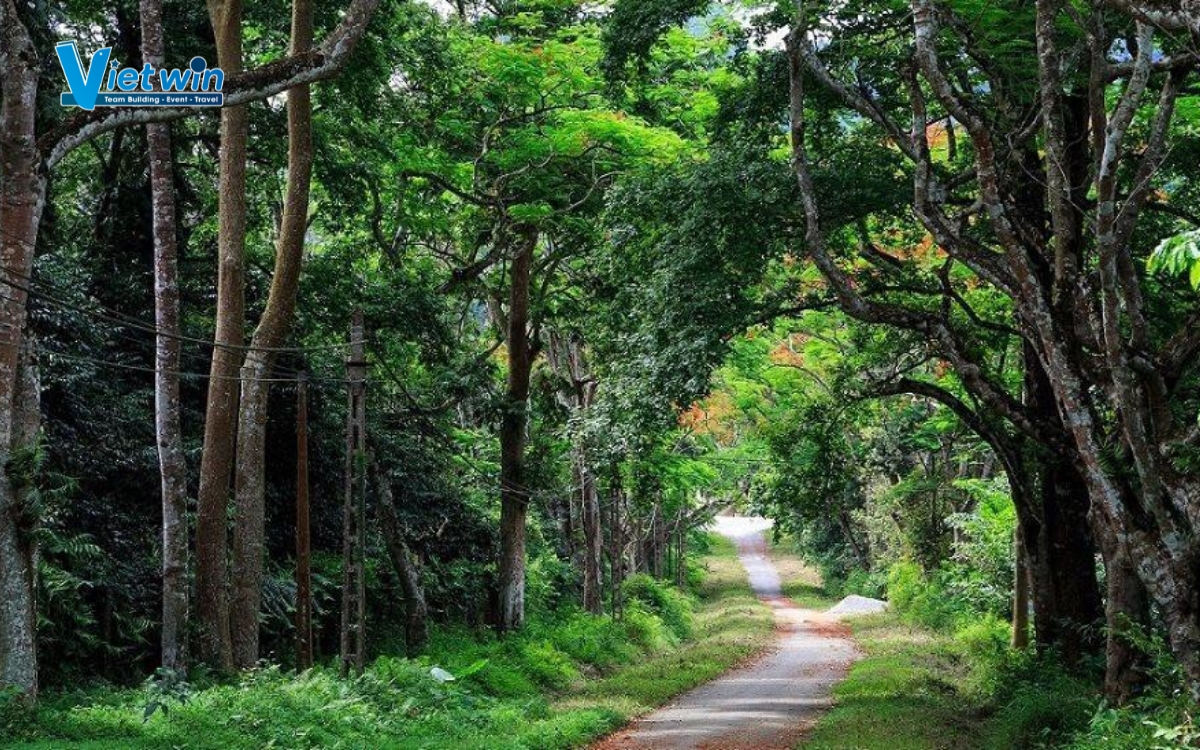 Vườn Quốc Gia là gì? Có nên trekking tour ở đây? 2 Vườn quốc gia là gì?